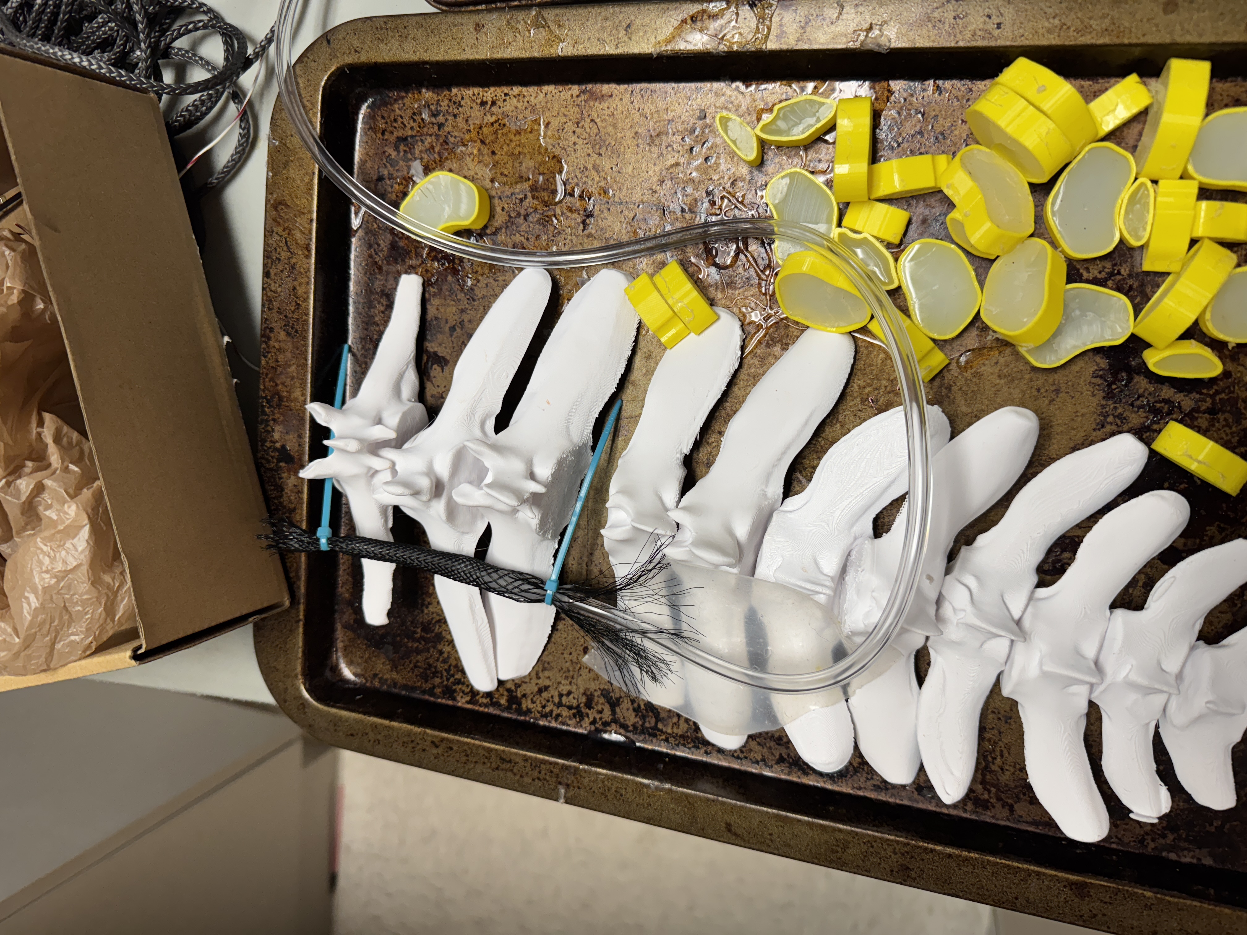 3D-printed vertebrae with intervertebral disks and hydraulic tubing