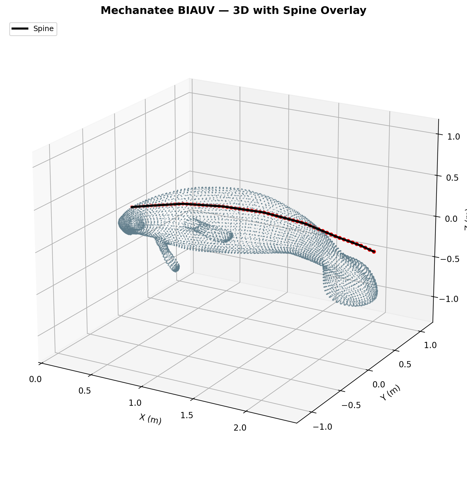 3D spine scatter