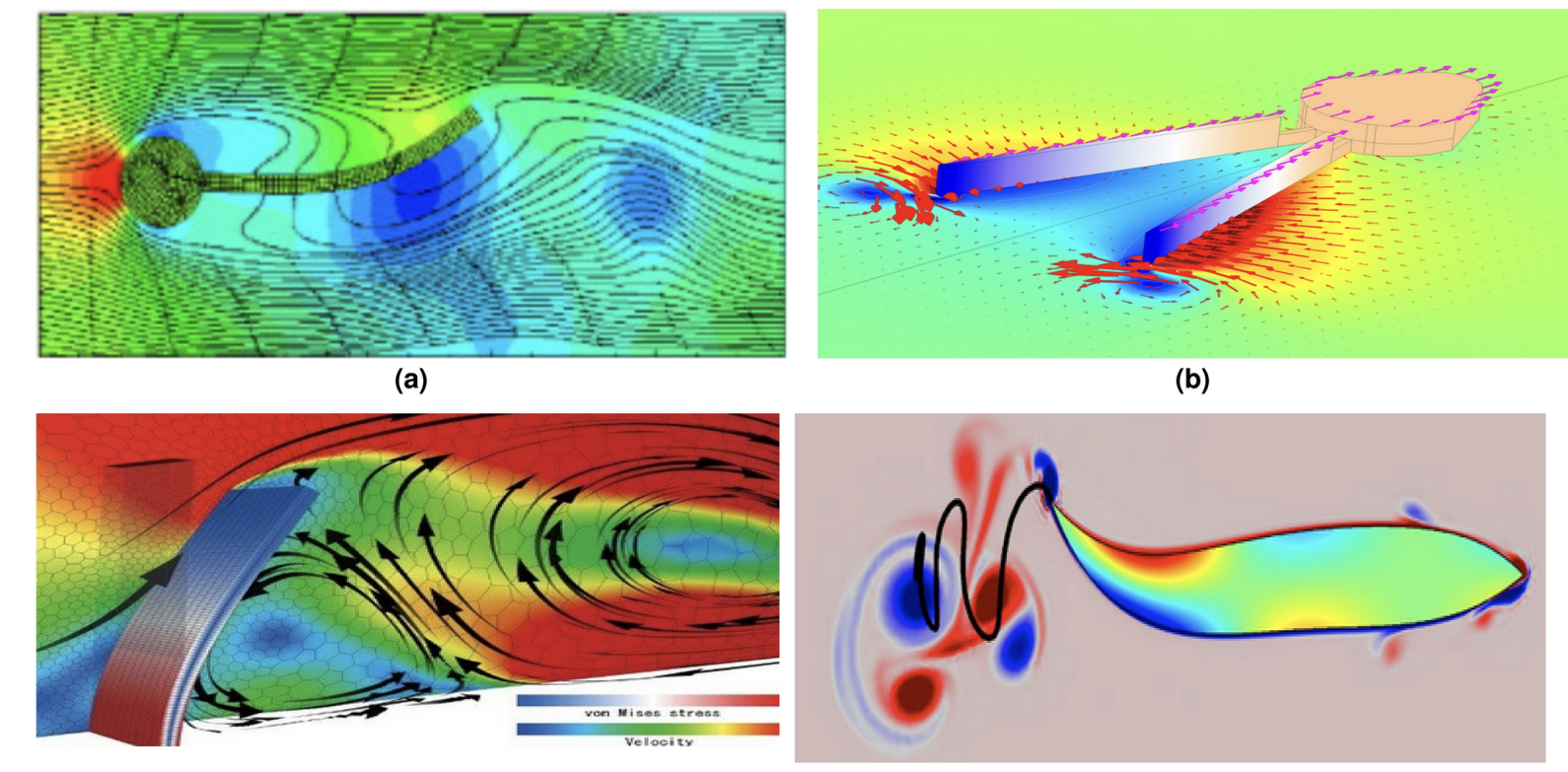 Comparative biomimetic flow visualization across four species