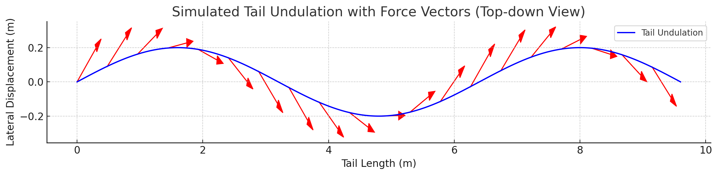 Per-segment force vectors