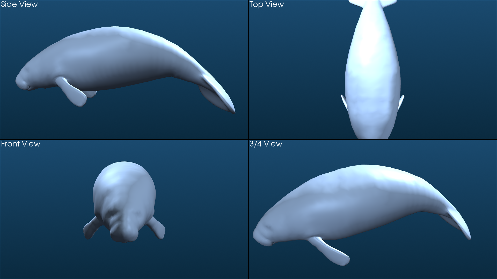 Multi-view orthographic render